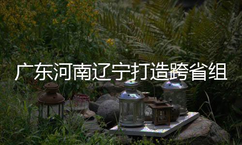 入选打造队辽宁广东 宁组合泽涛河南有望三省接力跨省